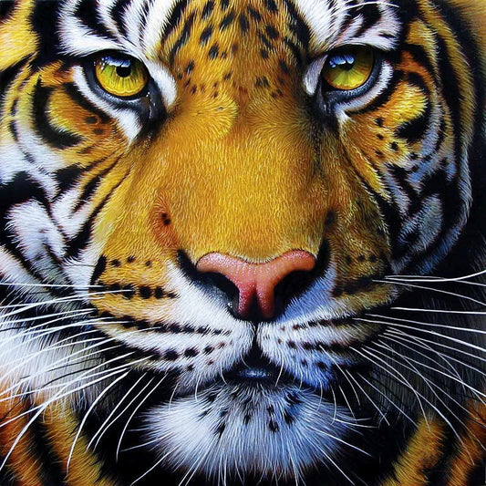 Luxury AB Velvet Diamond Painting Kit -Tiger