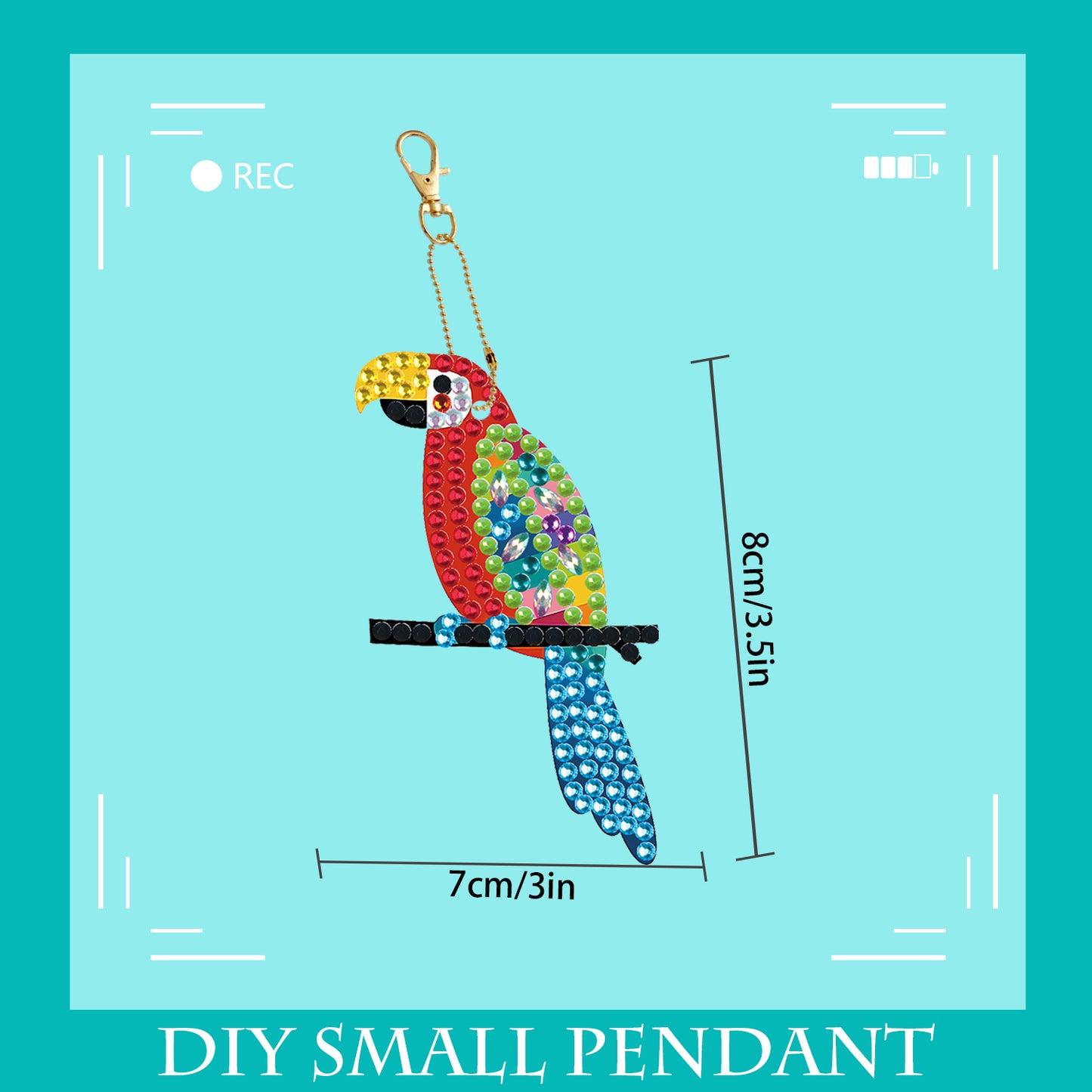 DIY keychain | Parrot | Double-sided | Five Piece Set