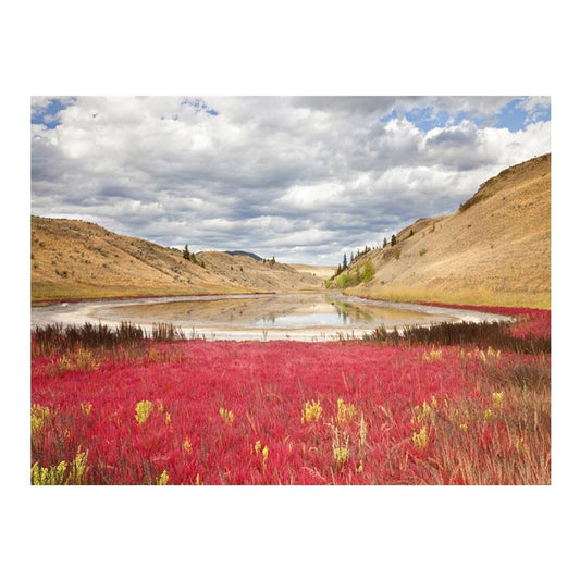 Meer aus rosa Blüten | Vollständige runde Diamant-Malkits