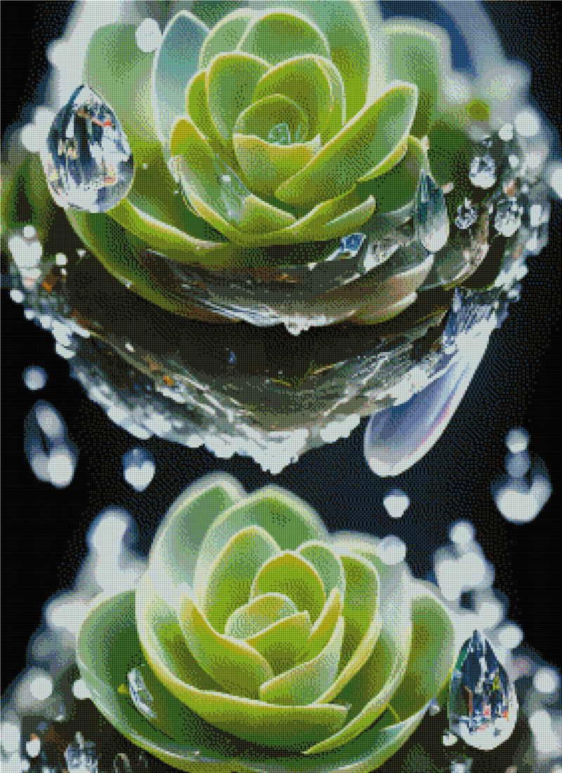 Full Round/Square Diamond Painting Kits | succulent plants