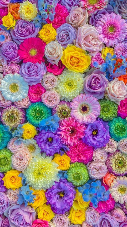 Fleur colorée | Kits complets de peinture diamant rond/carré | 40x70cm | 50x80cm