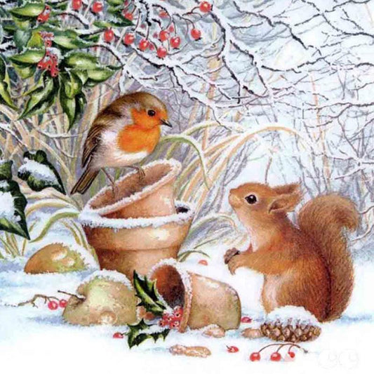 squirrel  | Full Round Diamond Painting Kits