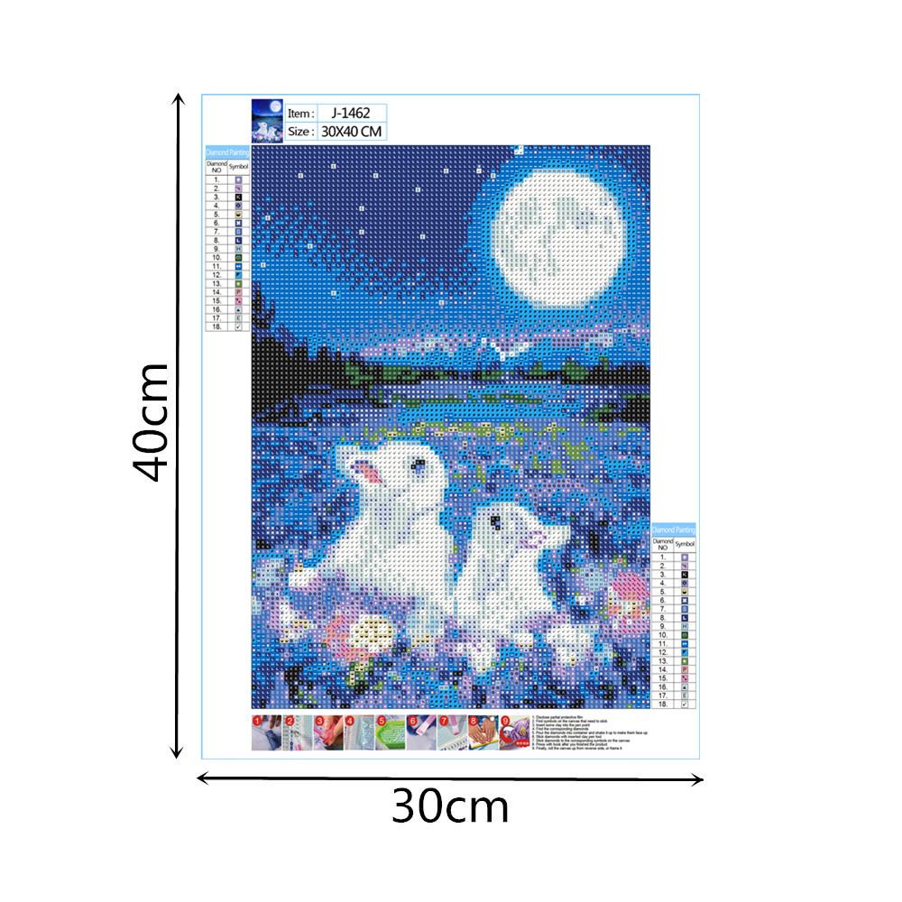 Lapin blanc et lune | Kits complets de peinture au diamant rond 