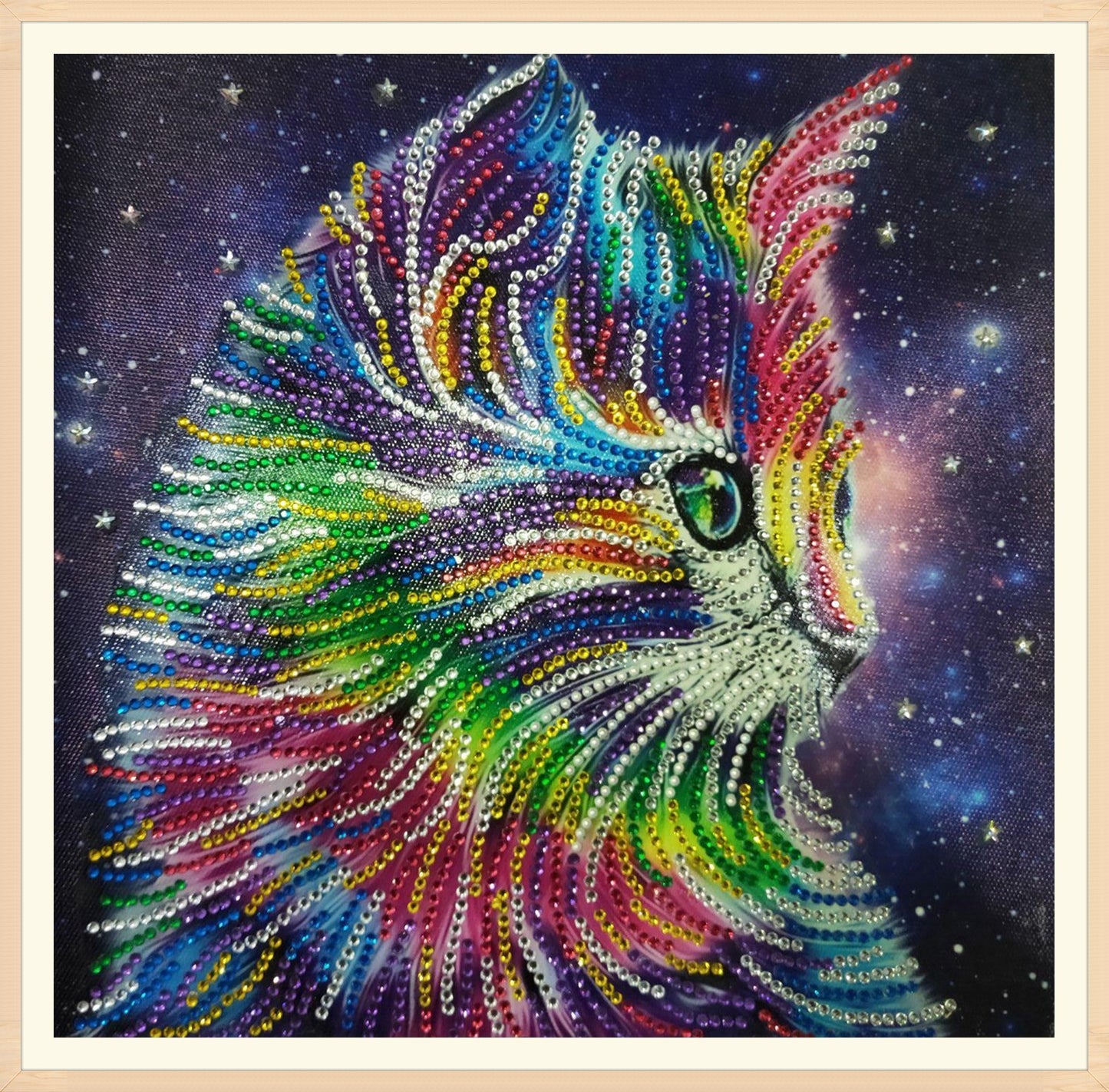 Cat | Special Shaped Diamond Painting Kits