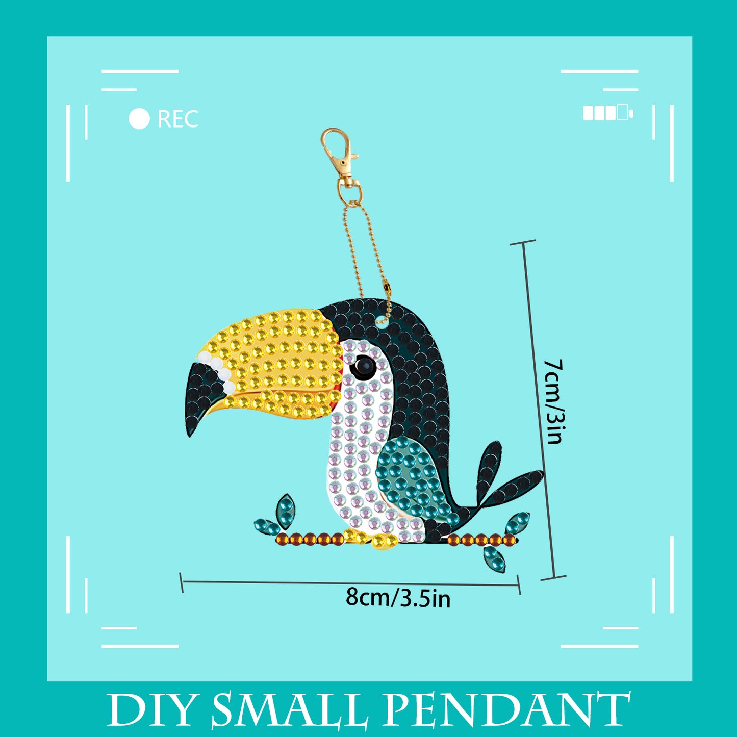 DIY keychain | Parrot | Double-sided | Five Piece Set