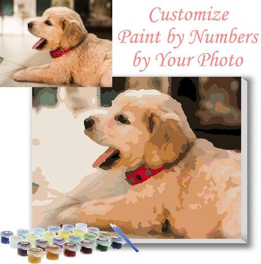 DIY Painting By Numbers | Customize paint by numbers by your photo