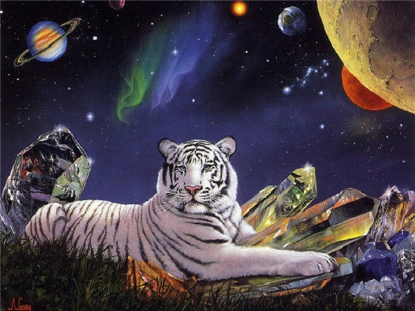 Univers et Tigre | Kits complets de peinture au diamant rond 