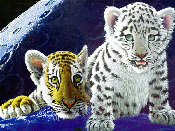 Univers et Tigre | Kits complets de peinture au diamant rond 