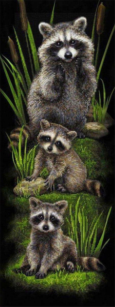 raccoon | Full Round/square Diamond Painting Kits（30x90cm）