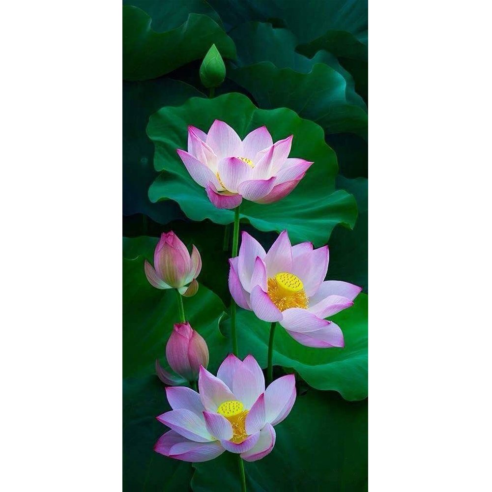 Lotus flowers | Full Round/Square Diamond Painting Kits | 40x80cm | 50x100cm