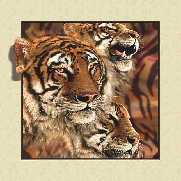 Tigre | Kits complets de peinture diamant rond/carré | 30x30-50x50cm 