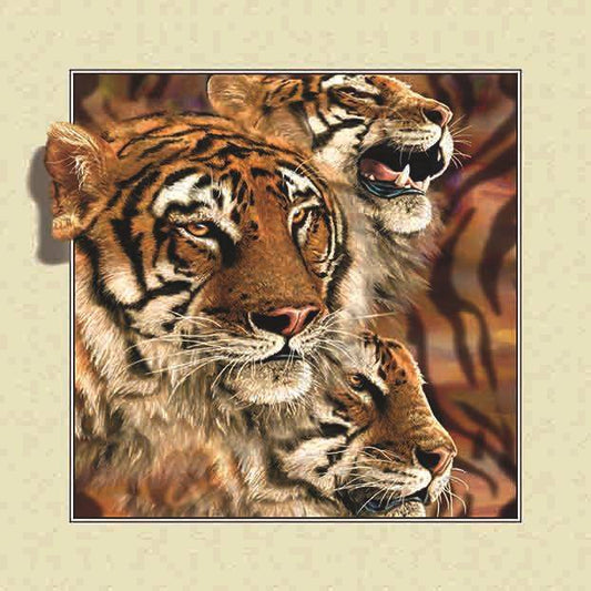 Tiger | Vollständige Runde/Quadratische Diamond Painting Kits | 30x30-50x50cm 