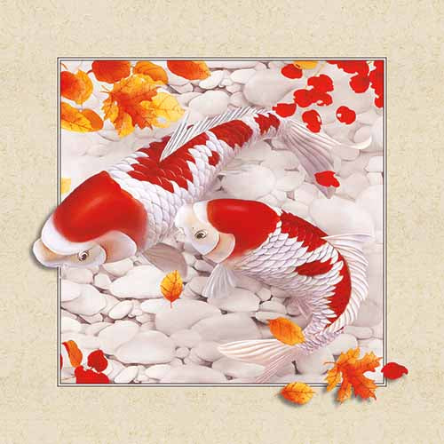 Poisson | Kits complets de peinture diamant rond/carré | 30x30-50x50cm 