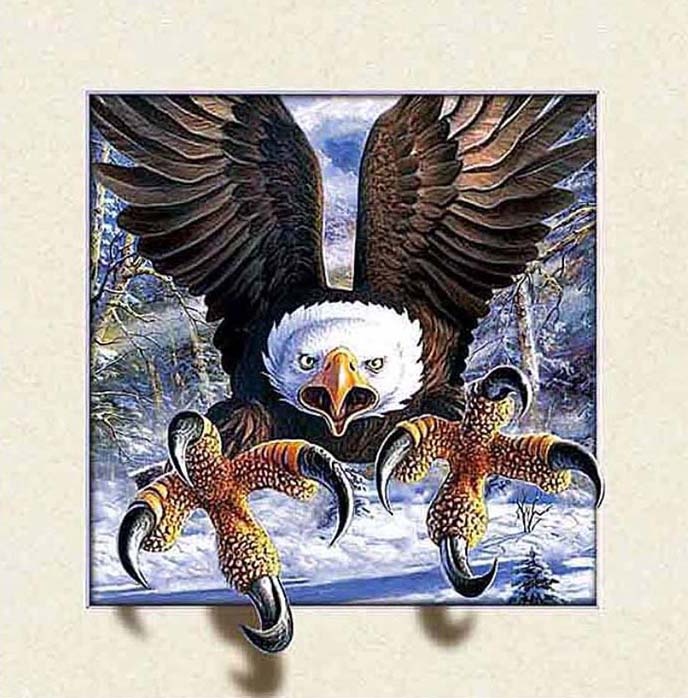 Eagle | Full Round/Square Diamond Painting Kits | 30x30-50x50cm