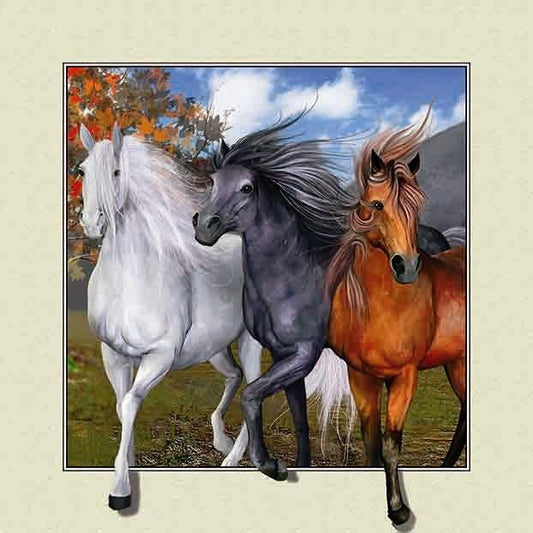 Cheval | Kits complets de peinture diamant rond/carré | 30x30-50x50cm 