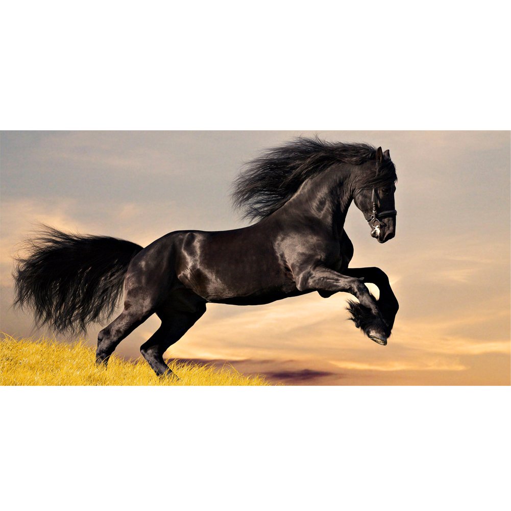 Horse | Full Round/Square Diamond Painting Kits | 40x80cm | 50x100cm