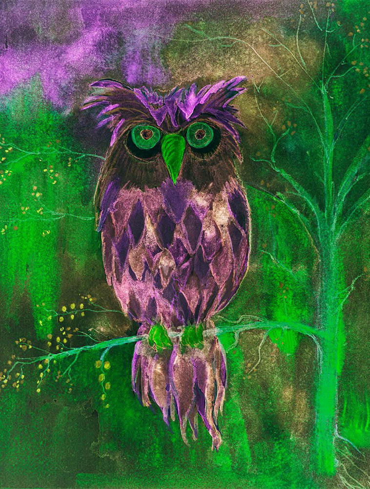 Owl | Full Round/Square Diamond Painting Kits