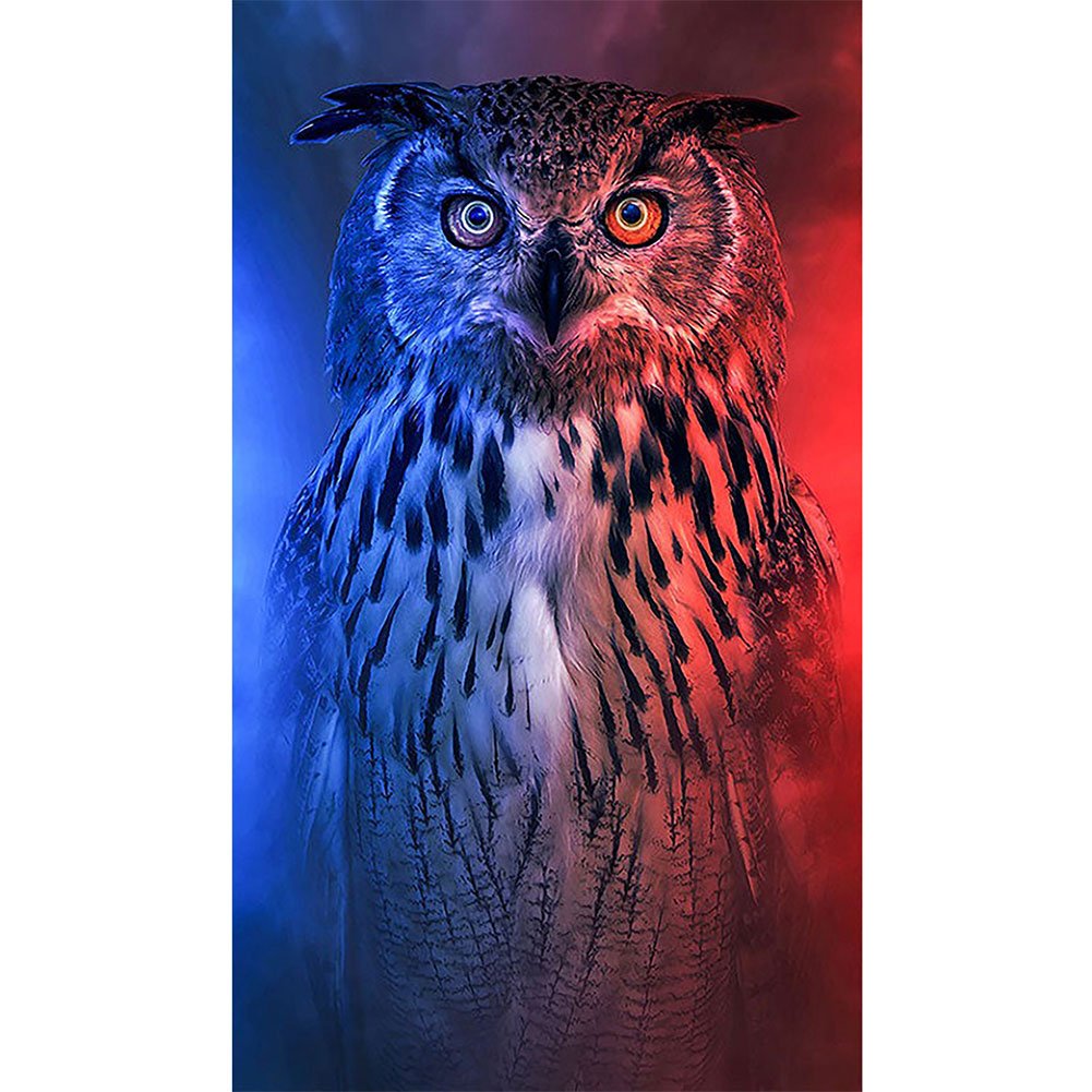 Owl | Full Round/Square Diamond Painting Kits | 40x70cm | 50x80cm