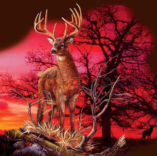 Deer | Full Round/Square Diamond Painting Kits | 20x20-40x40cm