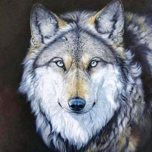 Wolf | Vollständige Runde/Quadratische Diamond Painting Kits | 20x20-40x40cm 