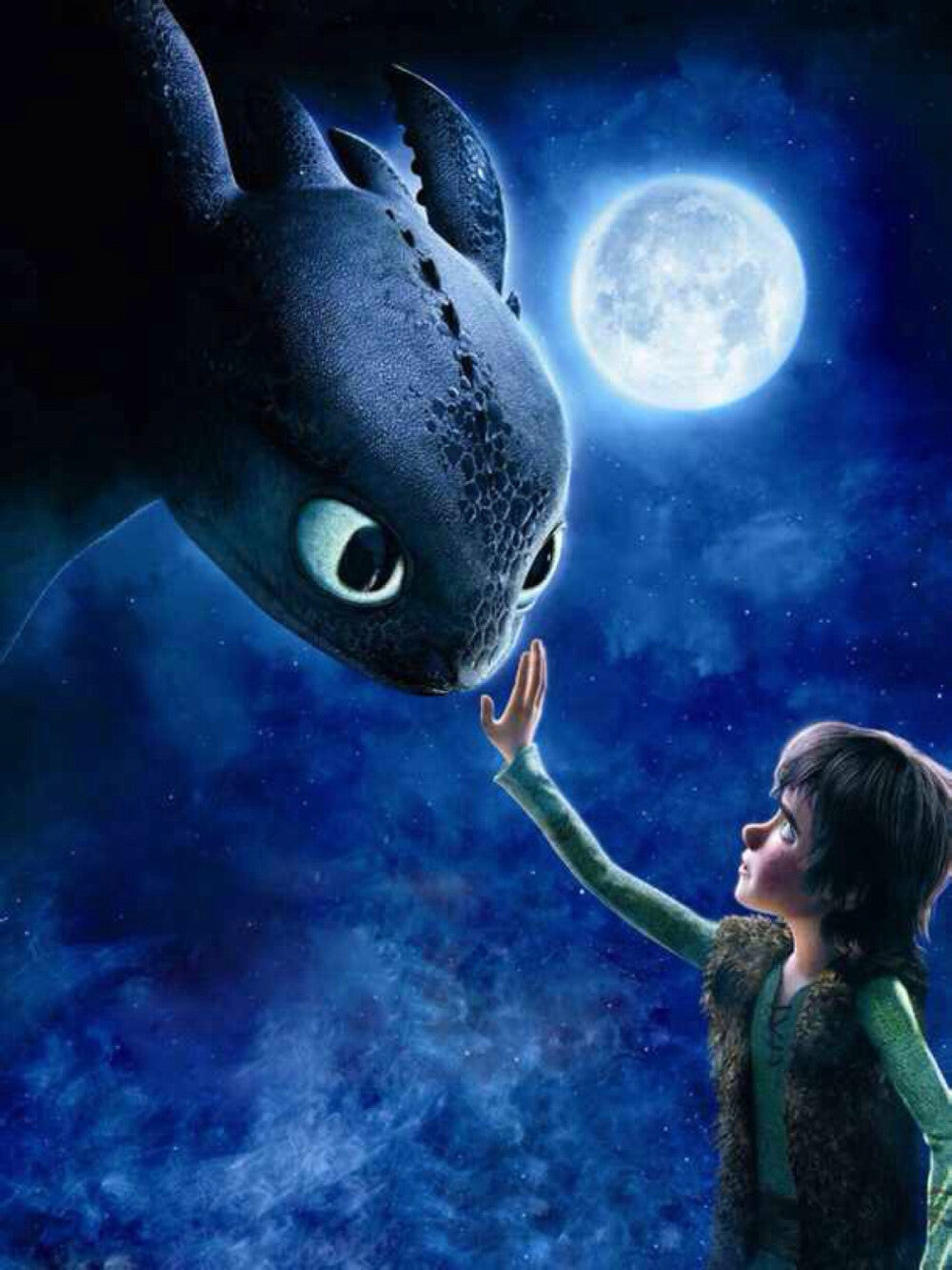 How to Train Your Dragon | Full Round/Square Diamond Painting Kits