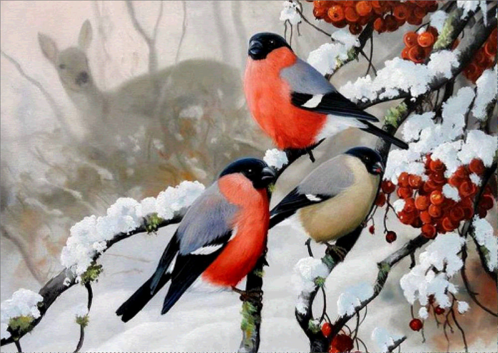 Trois oiseaux dans la neige | Kit de peinture diamant cercle complet