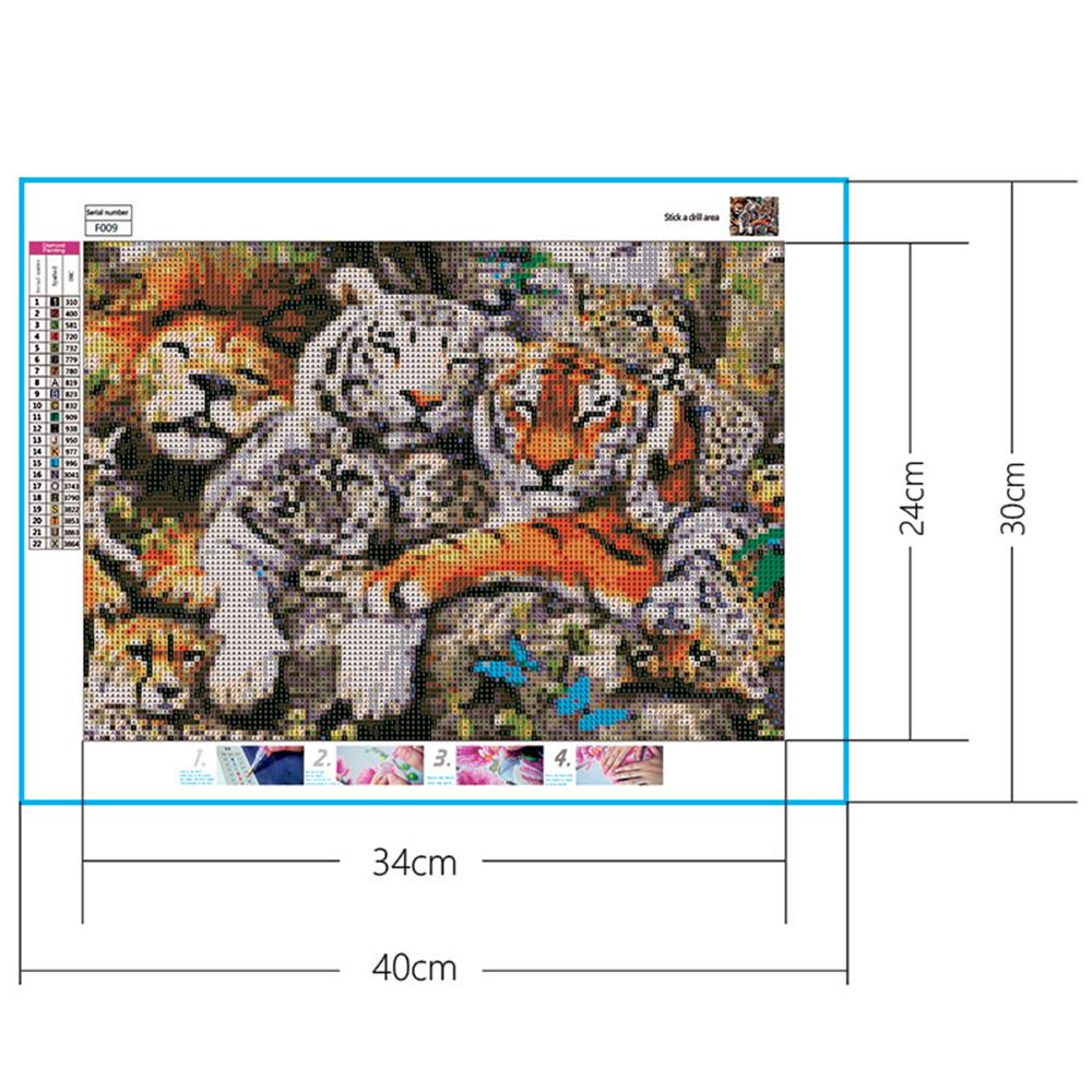 Löwe, Tiger, Leopard | Full Square Diamond Painting Kits 