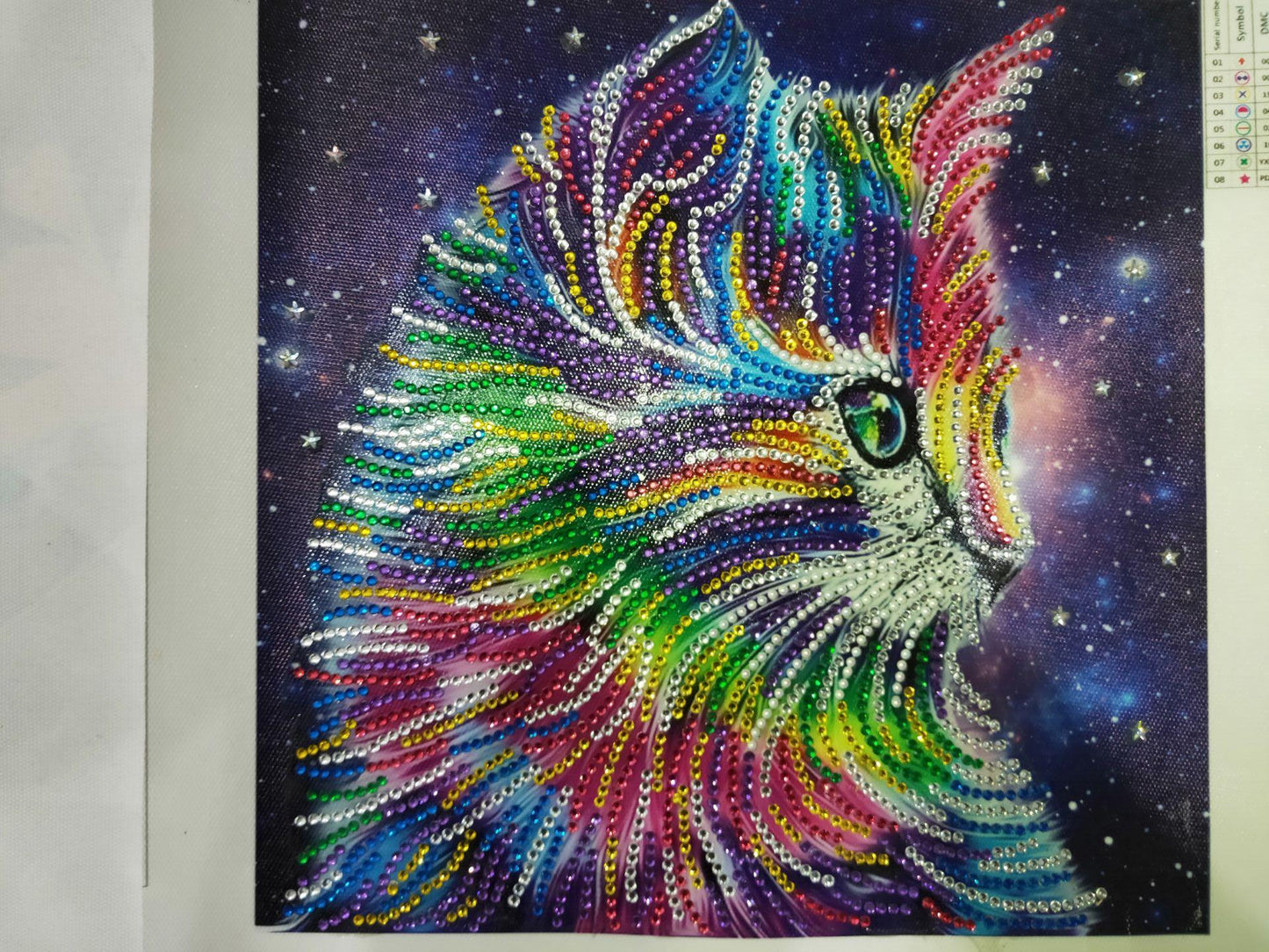 Cat | Special Shaped Diamond Painting Kits