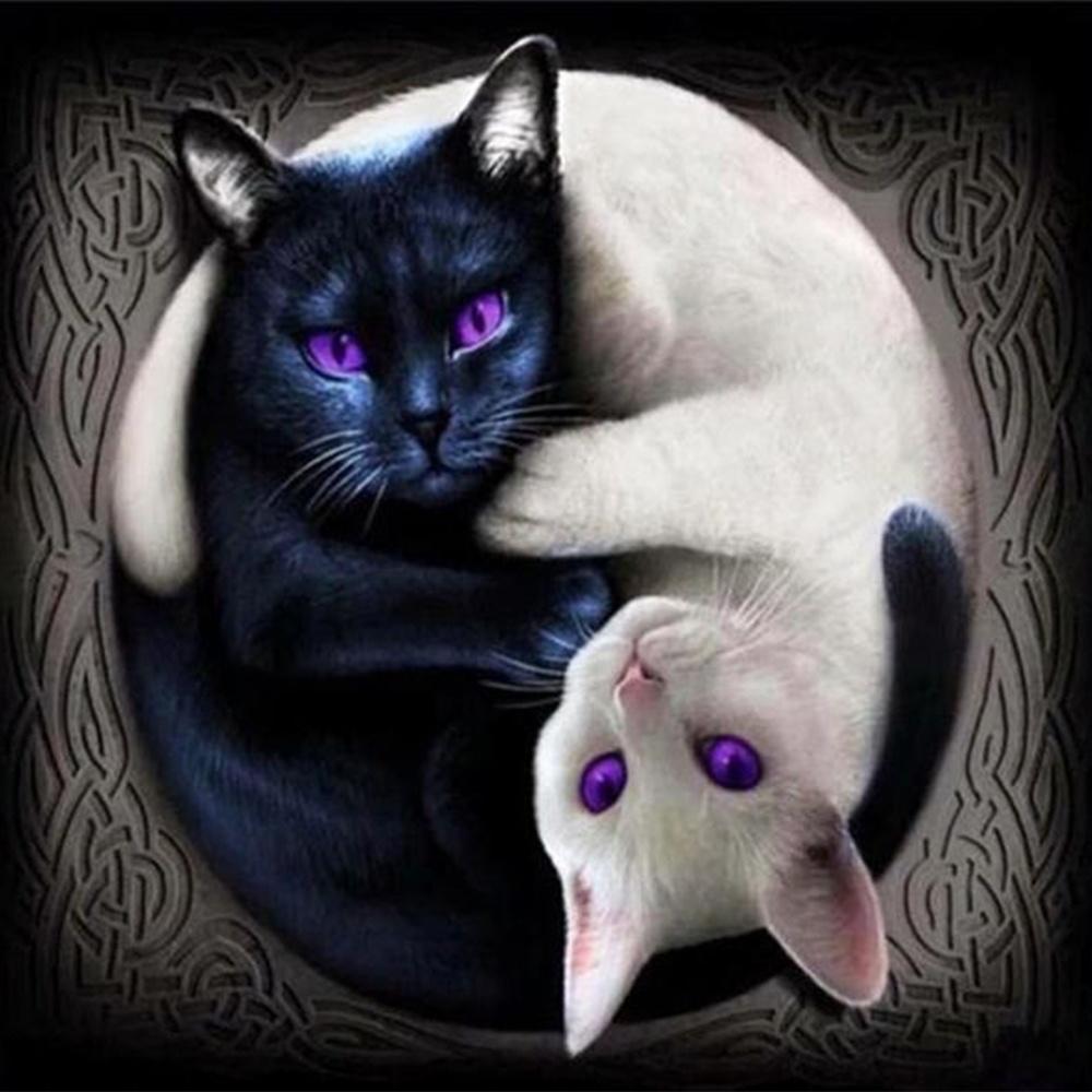 Schwarz-Weiß-Katze | Vollständige runde Diamant-Malkits