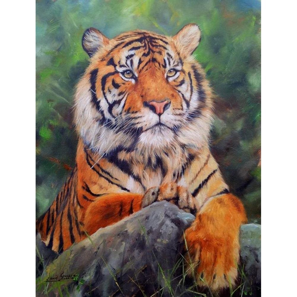 Tiger | Full Round Diamond Painting Kits