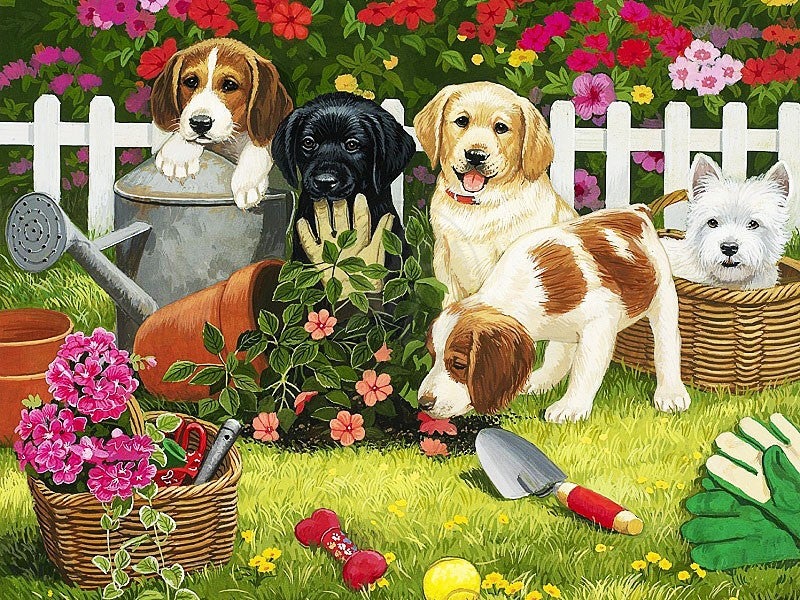 Dog party | Full Round Diamond Painting Kits (30 x 40)