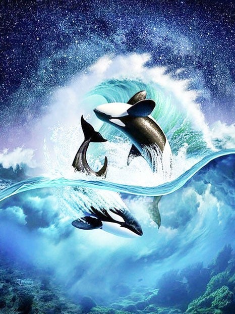 Dolphin series | Full Round Diamond Painting Kits (30 x 40)