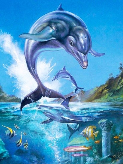 Dolphin series | Full Round Diamond Painting Kits (30 x 40)