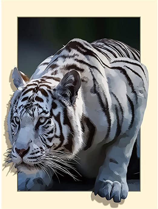 Tigre blanc | Kits complets de peinture diamant rond (50x70) 