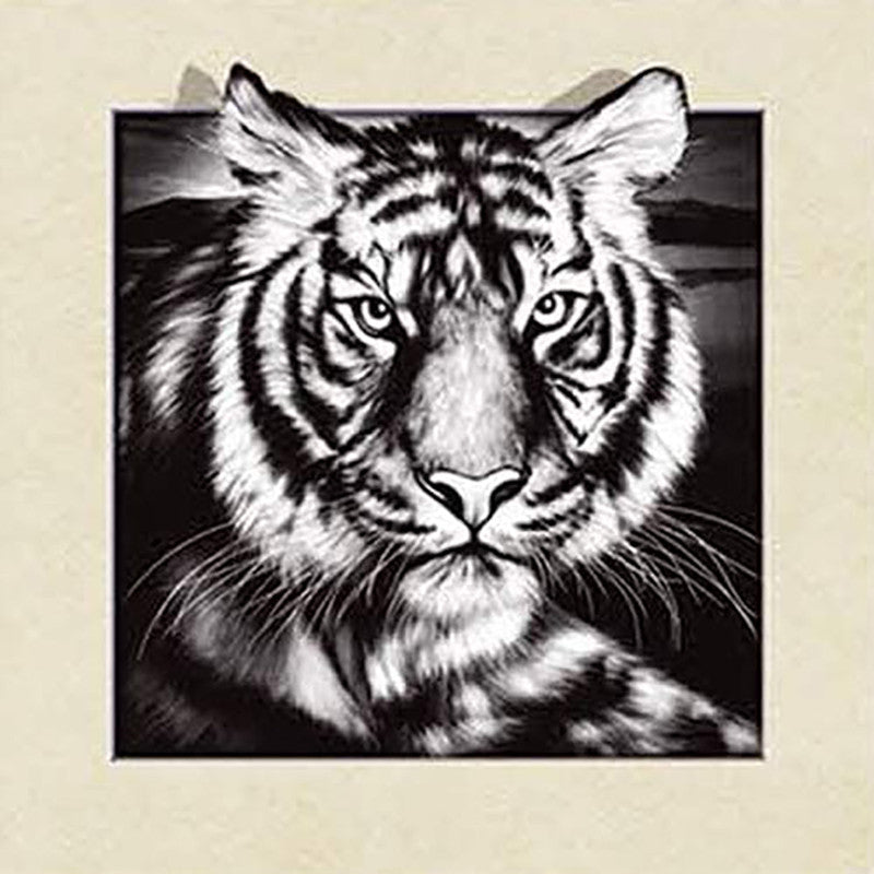 Tigre | Kits complets de peinture au diamant rond (30x30)