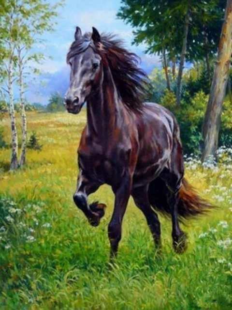 Running Horse | Full Round Diamond Painting Kits