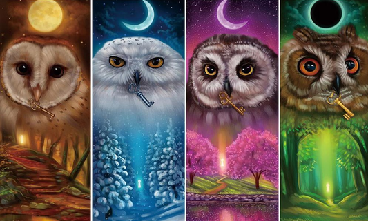 Owl | Full Round Diamond Painting Kits | 40*60cm