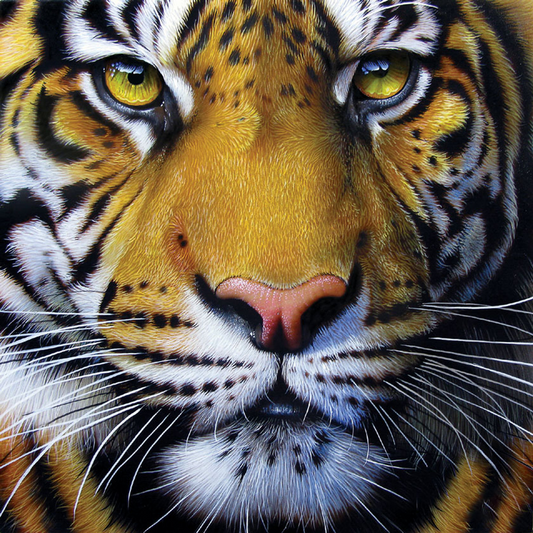 AB Diamond Painting  |  Tiger