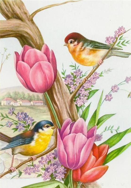 Bird and Flowers | Full Round Diamond Painting Kits