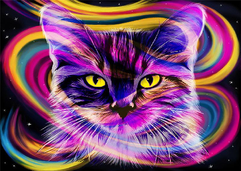 Cat | Full Round Diamond Painting Kits