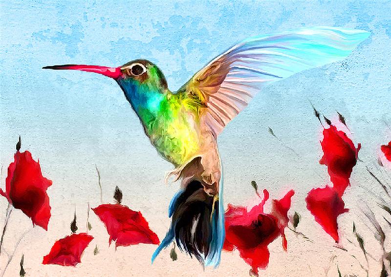 Hummingbird | Full Round Diamond Painting Kits