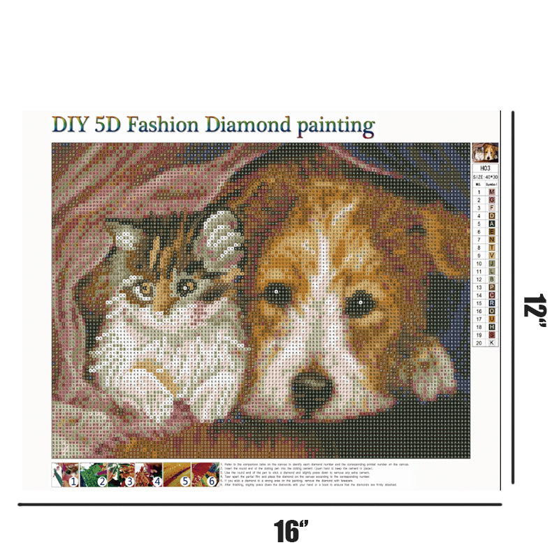 Hund und Katze | Vollständige runde Diamant-Malkits 