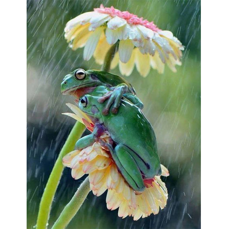 Frog In The Rain  | Full Round Diamond Painting Kits