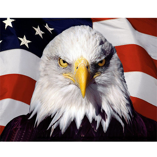 Aigle de drapeau américain | Kits complets de peinture au diamant rond