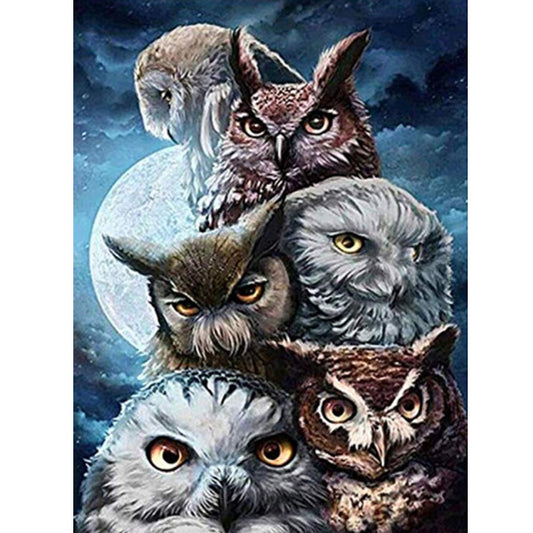 Owl  | Full Round Diamond Painting Kits