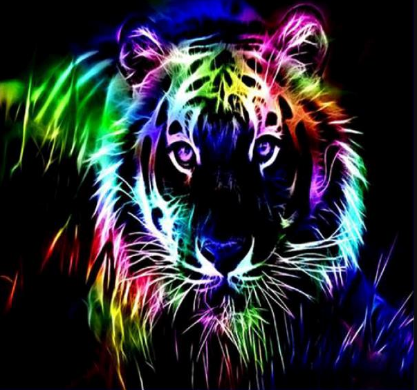 Tigre coloré | Kits complets de peinture au diamant rond 