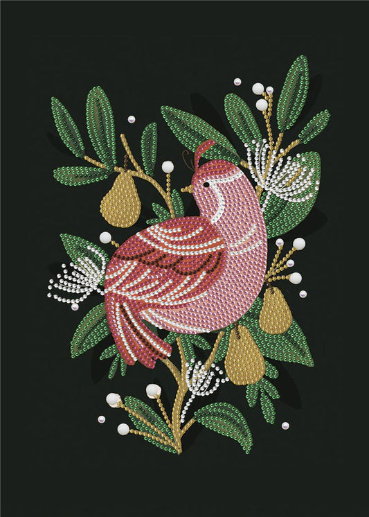 Oiseau rose | Kit de peinture au diamant de forme spéciale