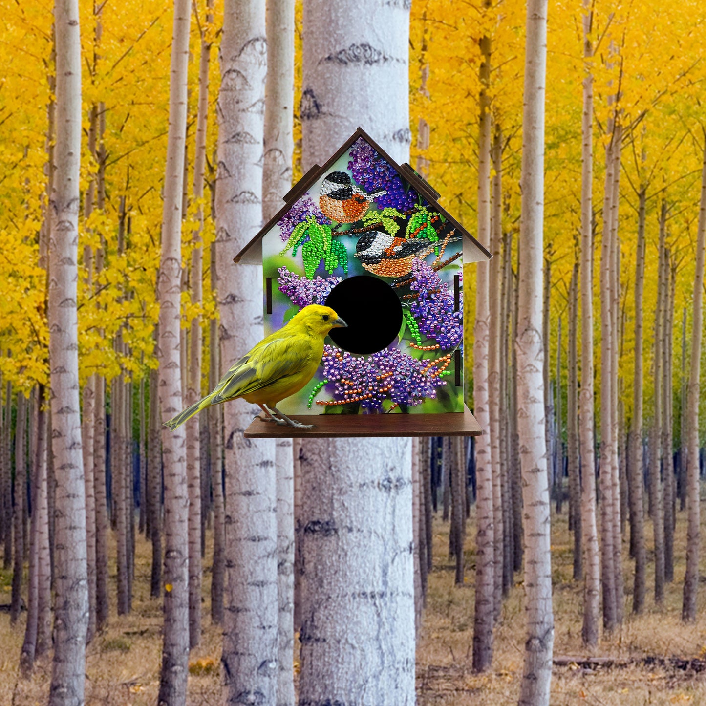 DIY Diamond Bird House