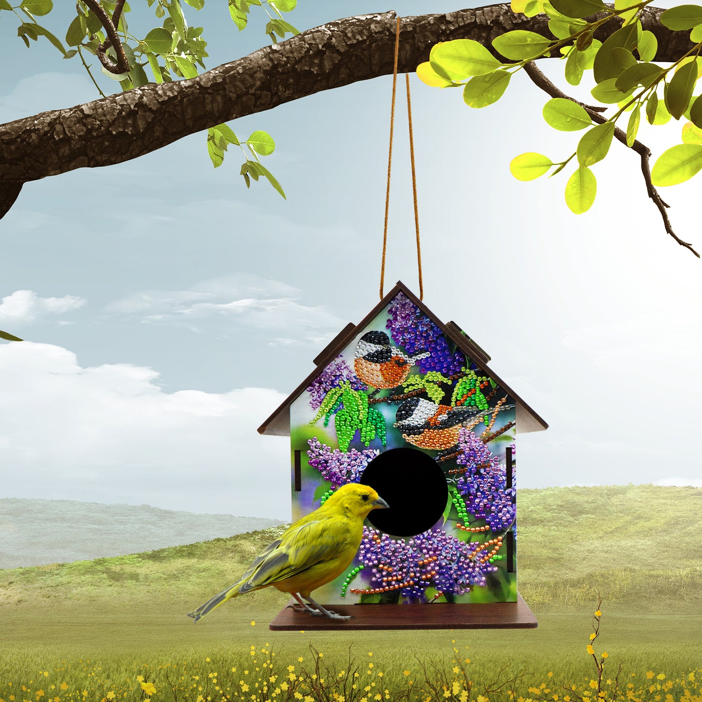 DIY Diamond Bird House