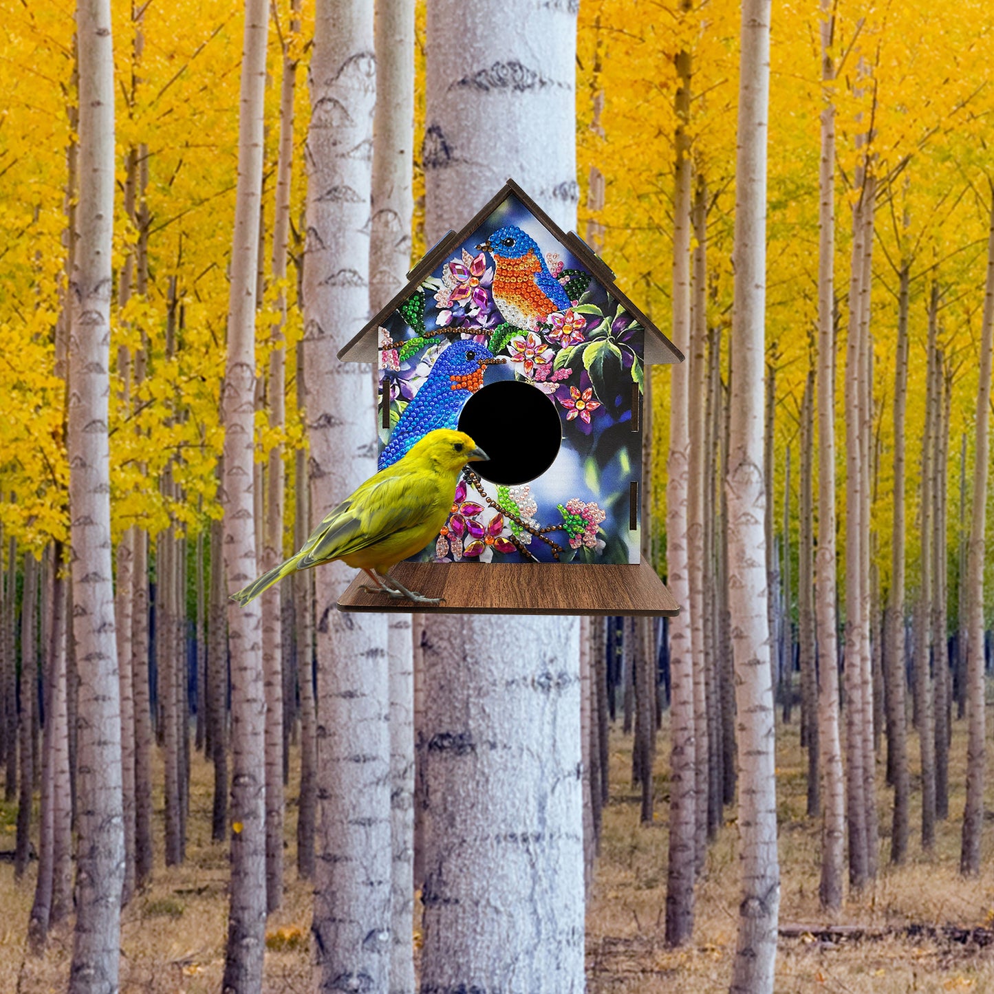 DIY Diamond Bird House